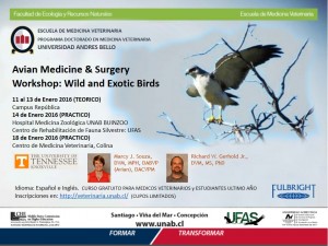 Afiche Workshop Medicina y Cirugía Aviar 2016